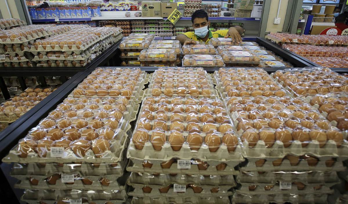 Kenaikan harga makanan pengaruhi margin keuntungan telur KwikNews